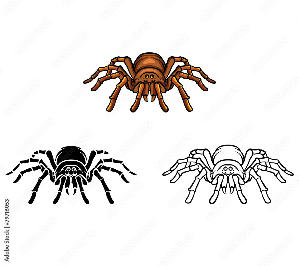 Coloring book tarantula cartoon character vector