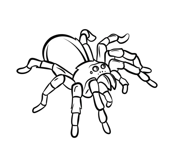Coloring book tarantula cartoon character stock vector by funwayillustration