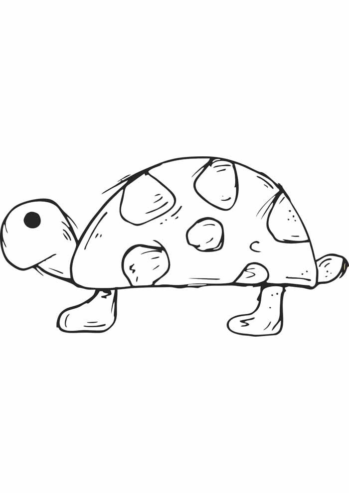 Turtle coloring pages free personalizable coloring pages