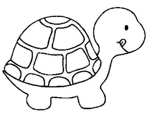 Tartaruga tartaruga para colorir pãginas de colorir animais tartaruga de feltro