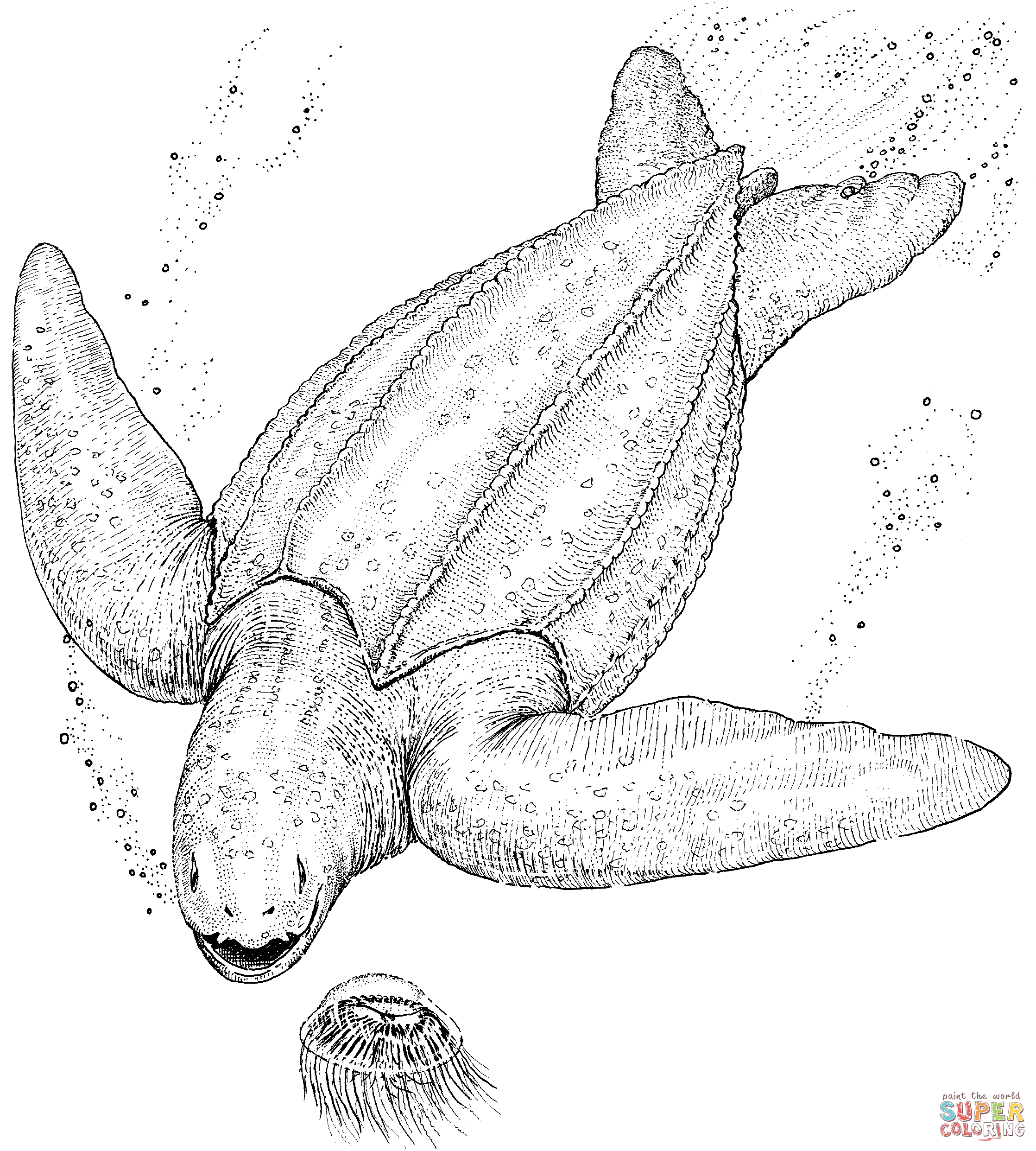 Desenho de tartaruga