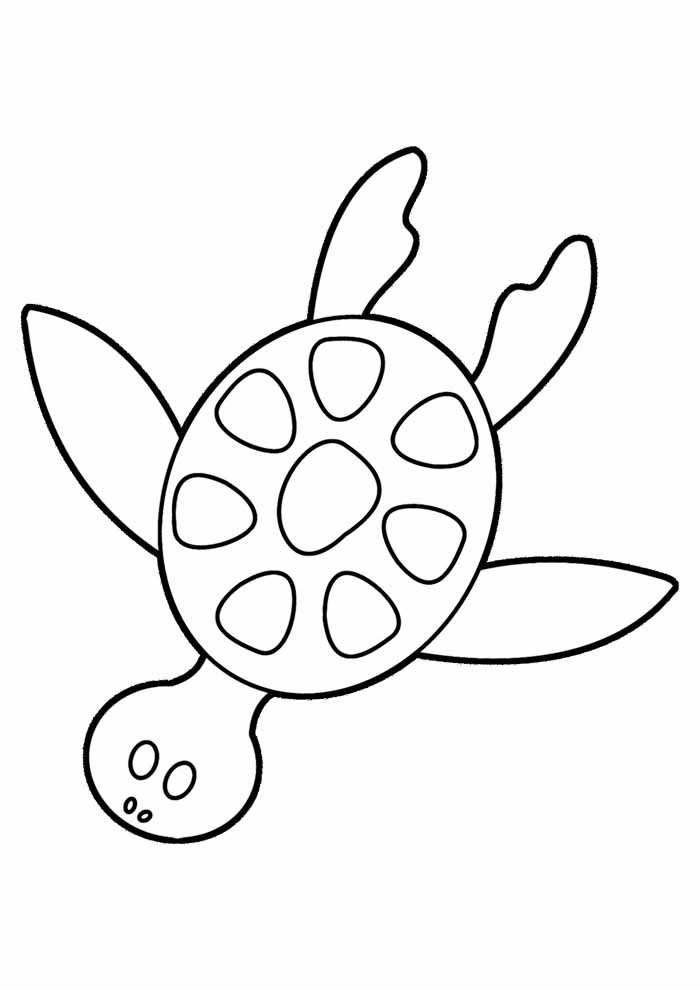 Turtle coloring pages free personalizable coloring pages