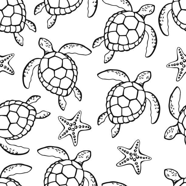 Tartaruga desenho fotos de stock imagens e fotos royalty