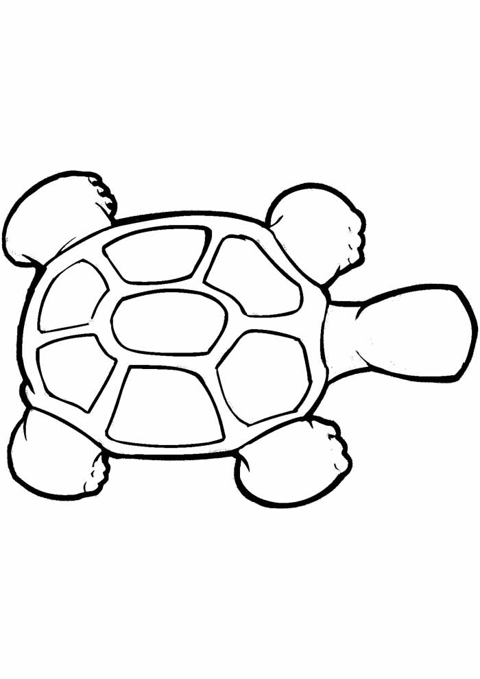 Turtle coloring pages free personalizable coloring pages
