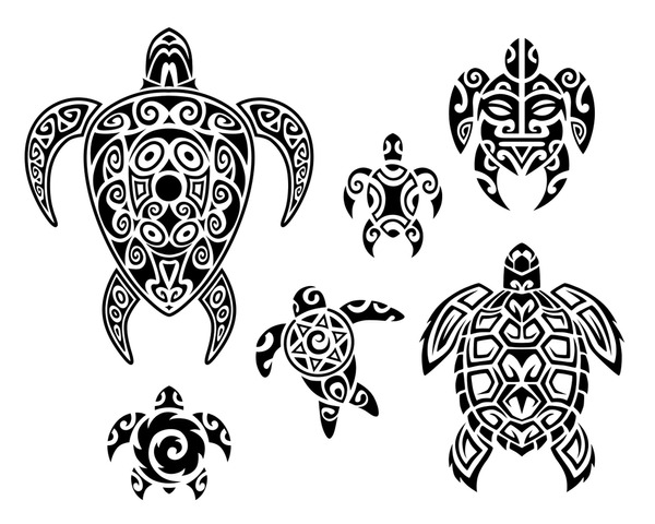 Imagens fotos stock objetos d e vetores de desenho de tartaruga maori