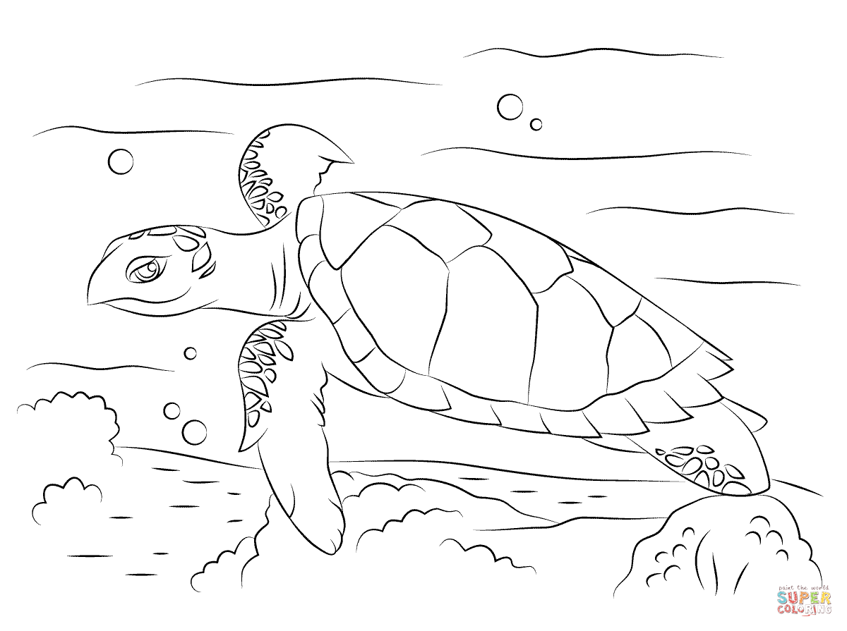 Desenho de tartaruga