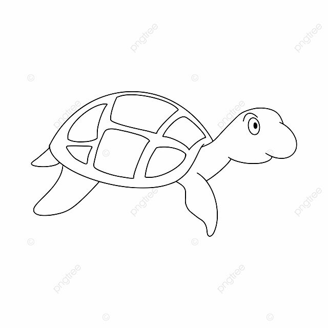 Desenho de tartaruga marinha desenhada ã mão para livro colorir infantil em estilo doodle vetor png vetor armaduras retrato falado imagem png e vetor para download gratuito