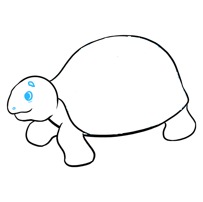 Desenhos de tartaruga