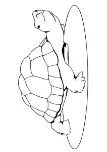 Tartaruga para colorir