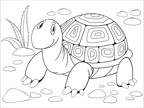 Desenho de tartaruga para colorir desenhos para colorir e imprimir gratis