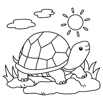 Turtle coloring images