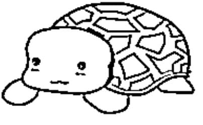 Tartaruga para colorir imagens download grãtis