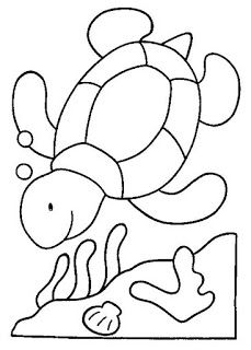 Desenhos de tartaruga e jabuti para colorir