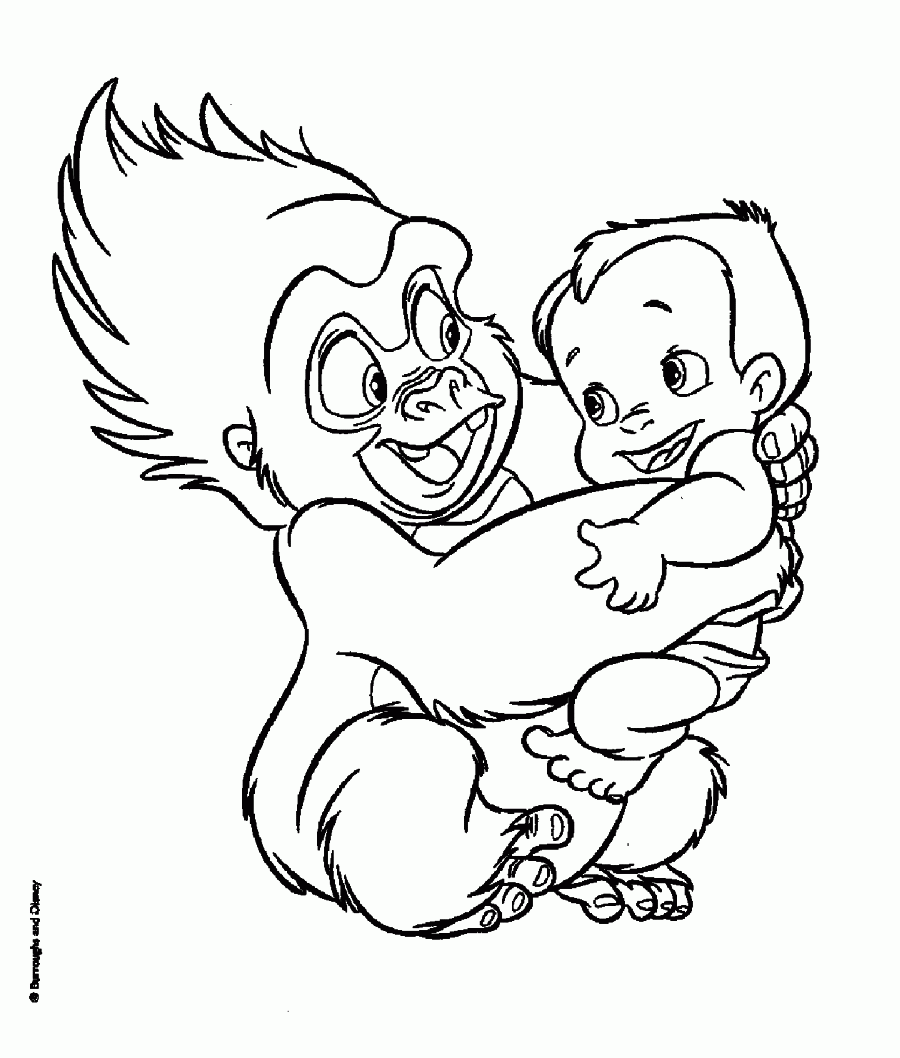 Little monkey and baby tarzan