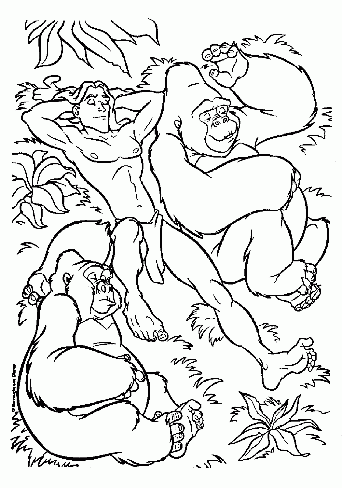 Disney coloring pages tarzan coloring pics
