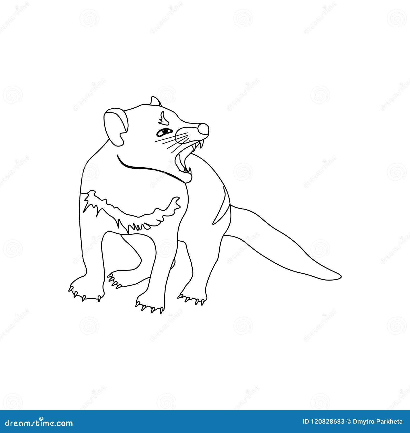 Tasmanian devil coloring pages stock vector