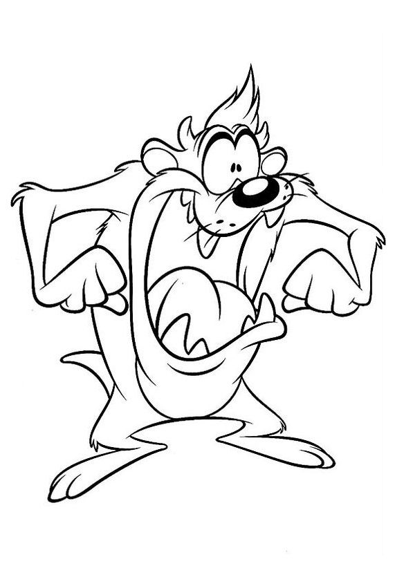 Tasmanian devil