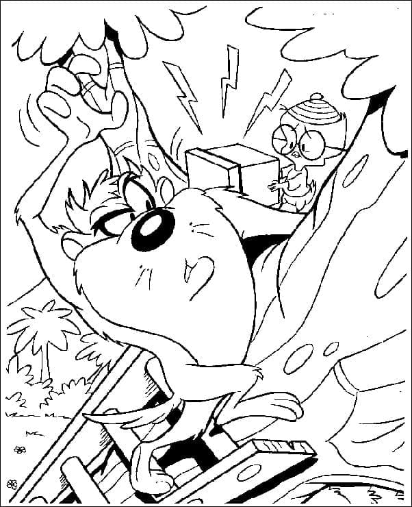 Tasmanian devil from looney tunes coloring page