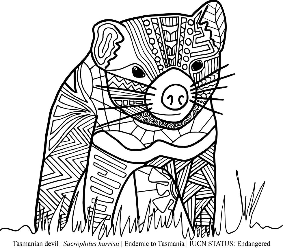 Animals of tasmania colouring book