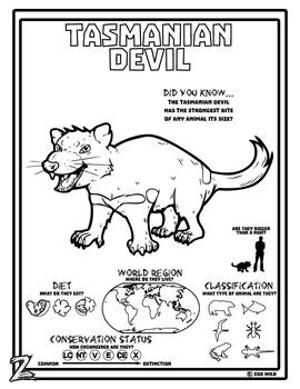 Tasmanian devil
