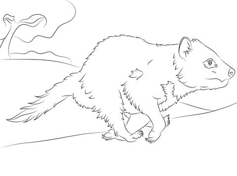 Running tasmanian devil coloring page free printable coloring pages
