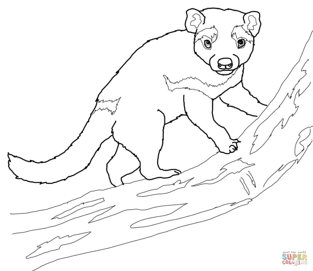 Tasmanian devil on a tree coloring page free printable coloring pages
