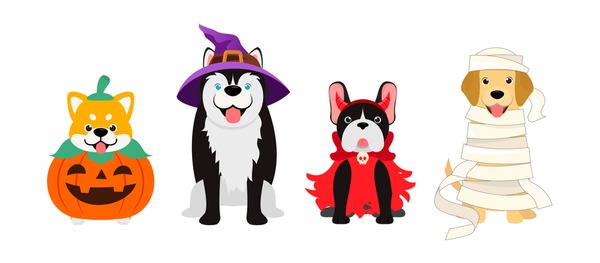 Baby devil dog royalty