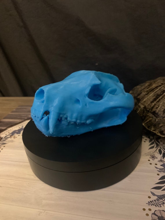 Glow in the dark tasmanian devil skull replica d printed