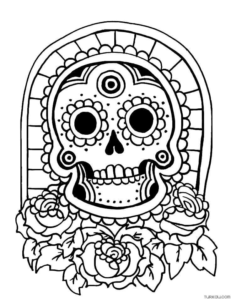 Roses skull coloring pages