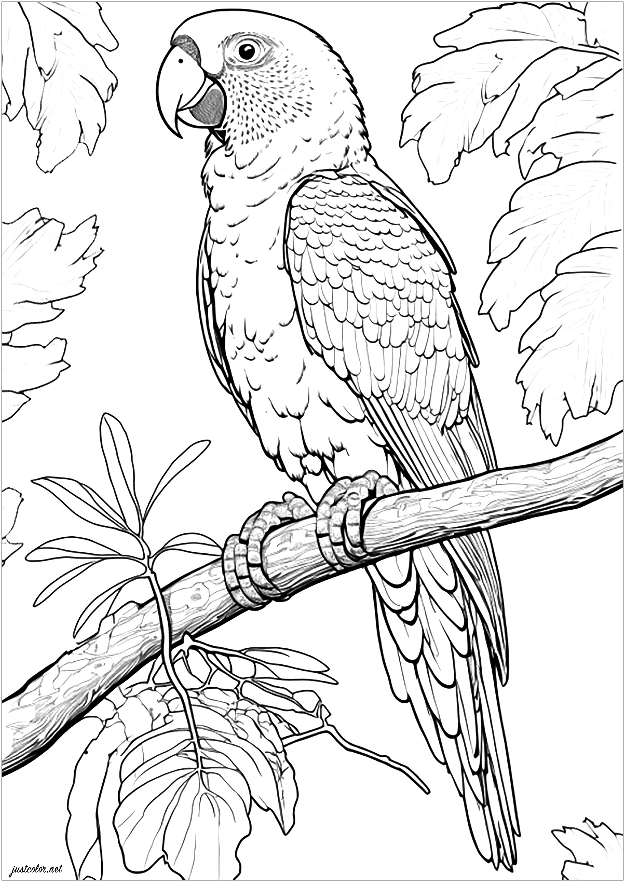 Realistic amazon parrot