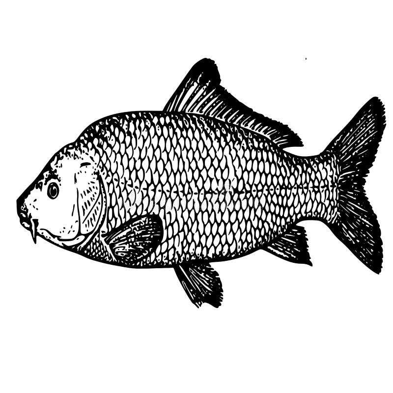 Siluro de los pcados del tatuaje del bosquejo stock de ilustraciãn