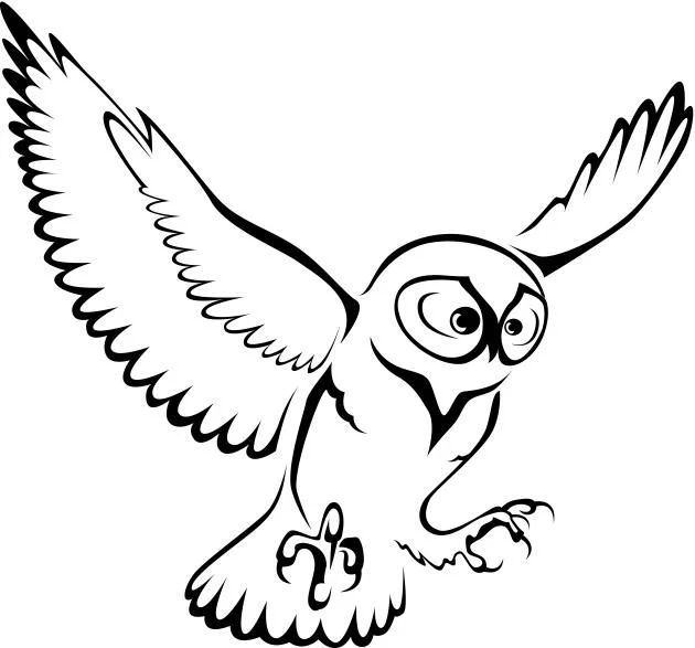 Quã significan los tatuajes de bãºhos buho dibujo tatuaje buho dibujos de pãjaro