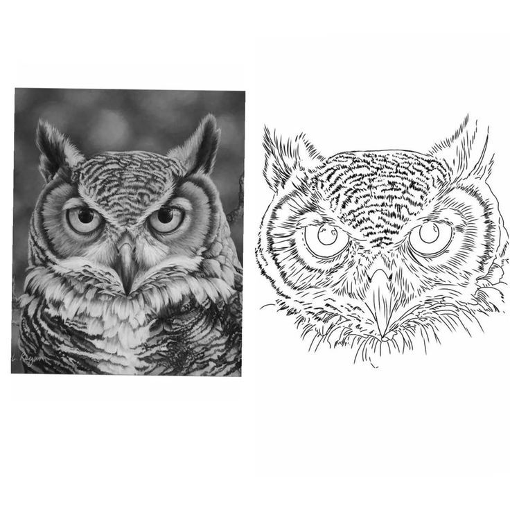 Pin by diego alejandro tattoo on buho tattoo big cat tattoo owl tattoo drawings owl tattoo design