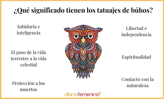 Quã significan los tatuajes de bãºhos simbolismo y diseãos de tattoos
