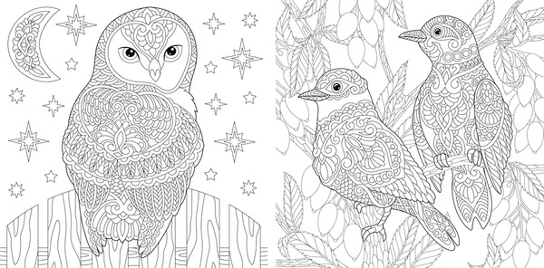 Imãgenes fotos de stock objetos en d y vectores sobre birds adult coloring book