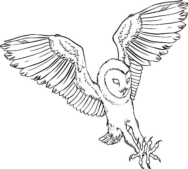 Tatuajes de lechuza de granero ilustraciones de stock grãficos vectoriales libres de derechos y clip art
