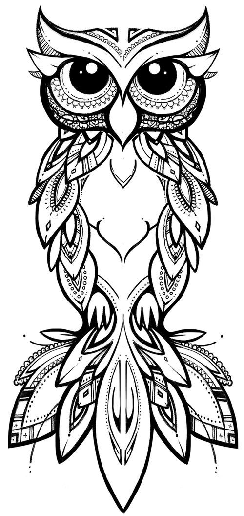 Pin by sophie on coloring pages owl tattoo drawings owl tattoo design owls drawing