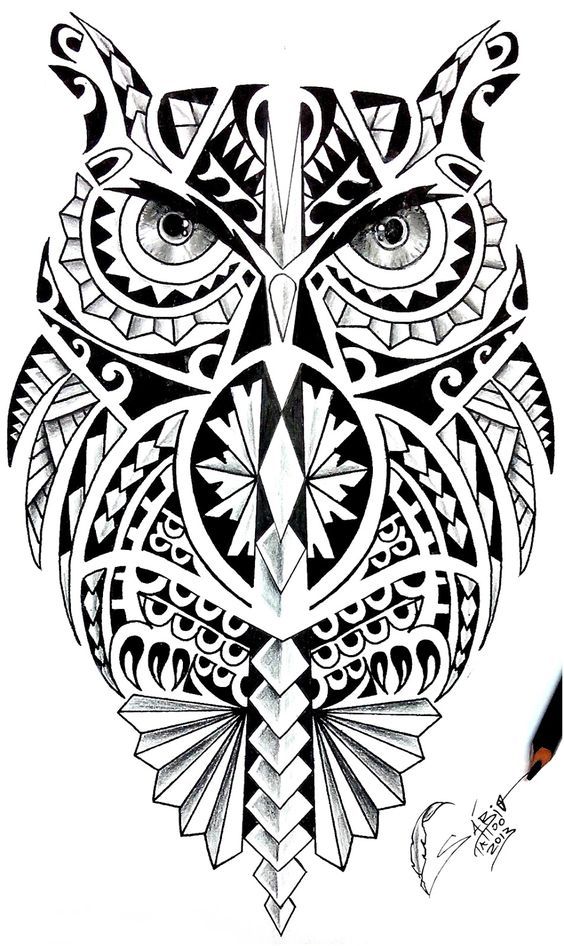 Pin de sophie em owls tatuagem coruja maori maori coruja tatuagem coruja