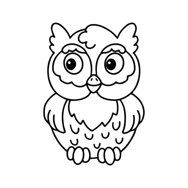 Owl coloring stock photos pictures royalty
