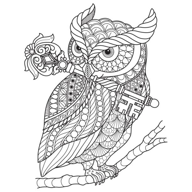 Hand drawn owl and wand for adult coloring page stock illustration