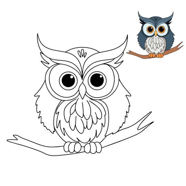 Baby owl coloring pages stock illustrations royalty