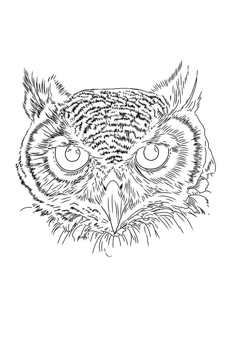 Pin de erickson stanley gonzales asce en eris buhos tatoo tatuaje de lechuza tatuaje bãºho real