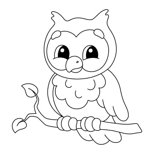 Owl coloring stock photos pictures royalty
