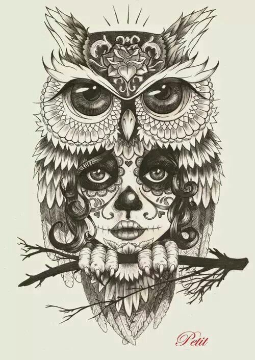 Pin de redactedhewnojs en â sugar skulls â tatuaje de lechuza catrinas dibujo buhos para tatuar