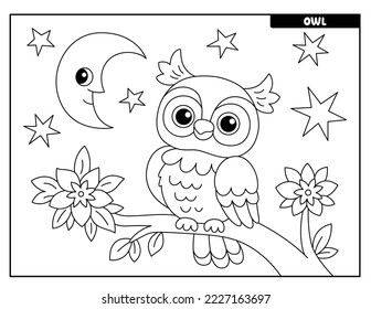 Colorful owl vector art graphics