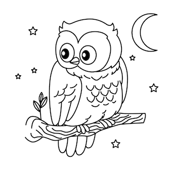 Owls coloring page kids vectors illustrations for free download