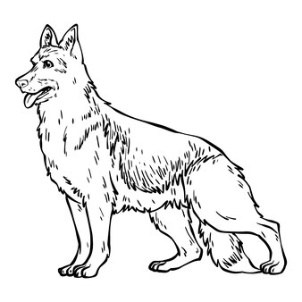 Pãgina imãgen de tatuaje lobo