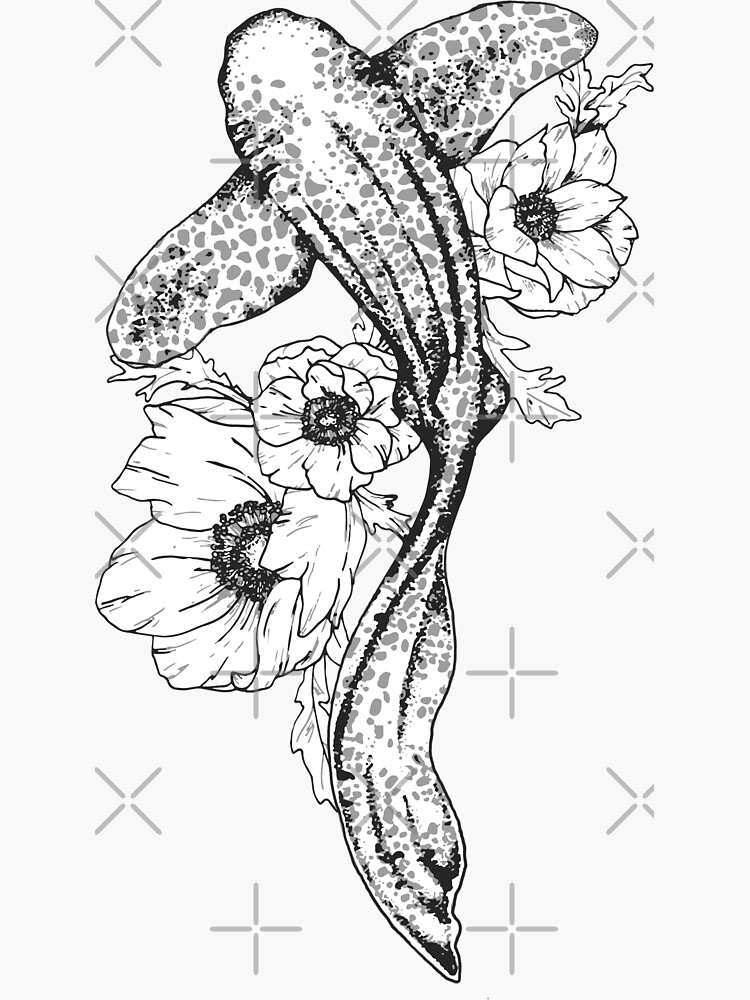 Pegatina con la obra tiburon cebra de wildwasserfarben lettering illustration