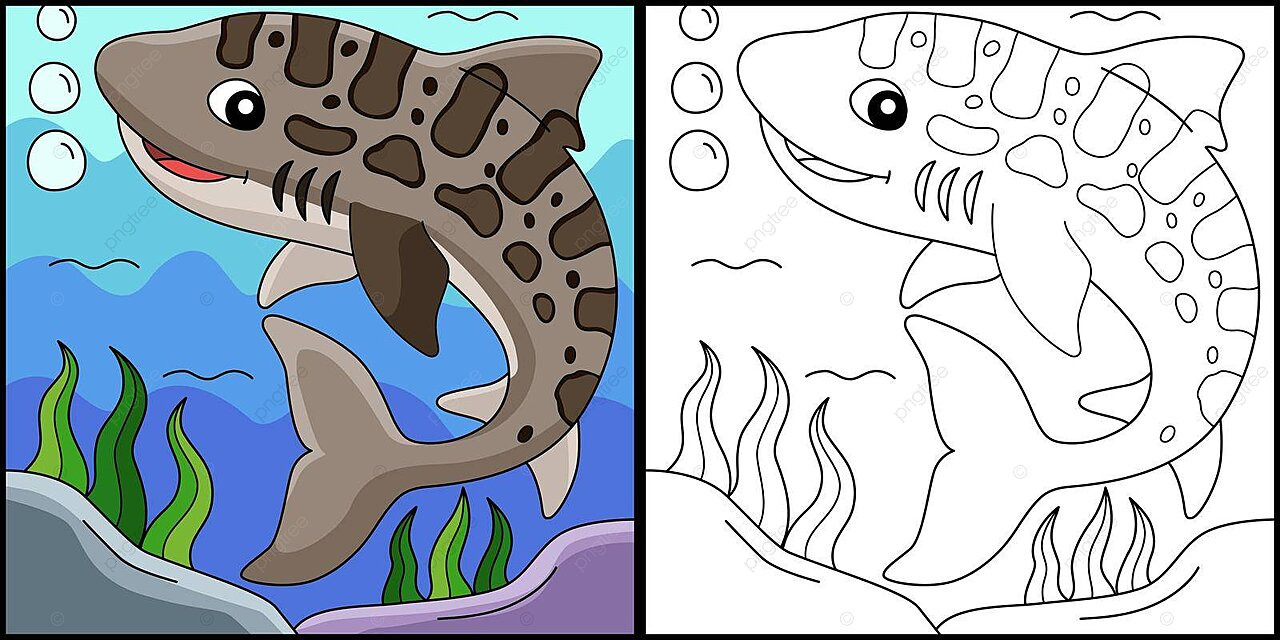 Tiburon leopardo animal pagina para colorear ilustracion houndshark pagina para colorear color vector png tiburãn sabuo pãgina para colorear color png y vector para dcargar gratis