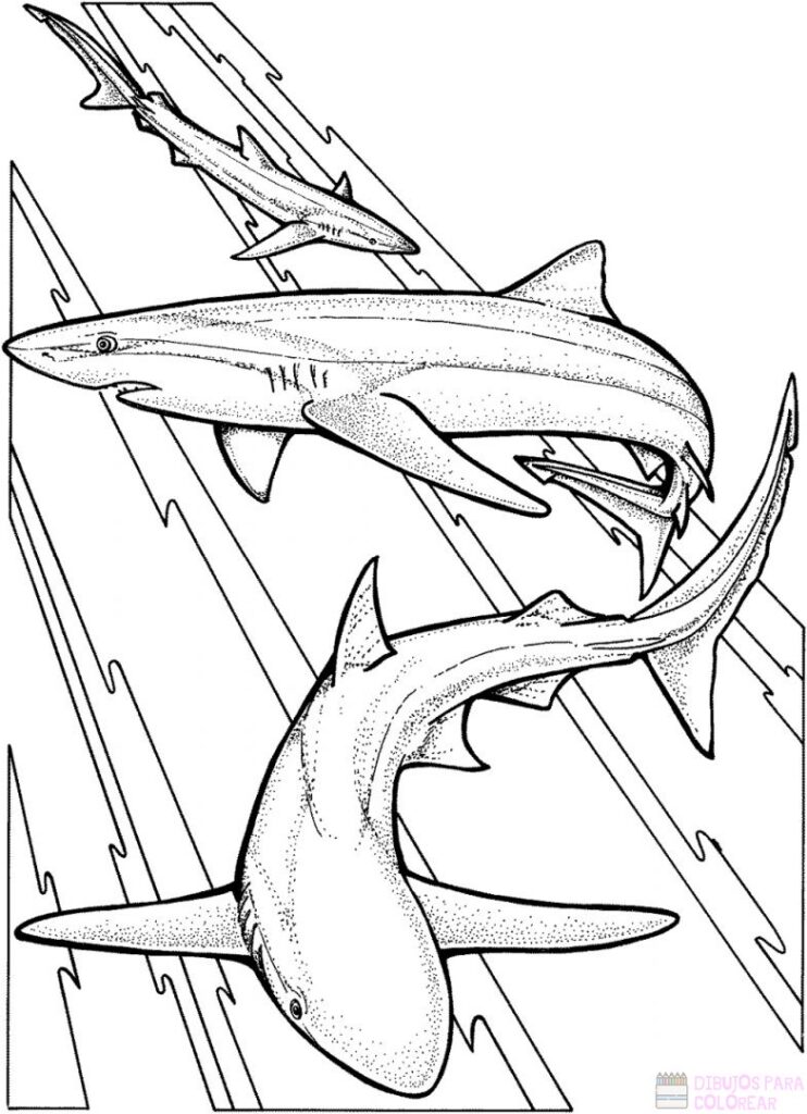 Ðããlos mejores dibujos tiburones para colorear âï â dibujos para colorear